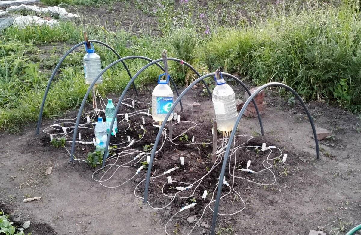 Варианты сборки самодельного насоса в домашних условиях