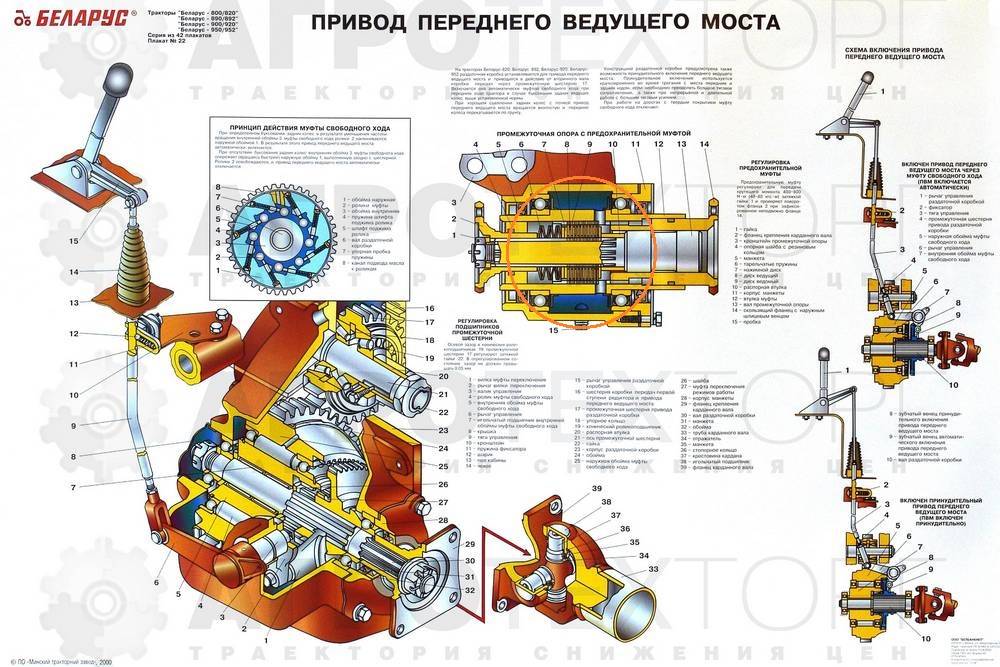 Устройство переднего моста мтз 80 старого образца